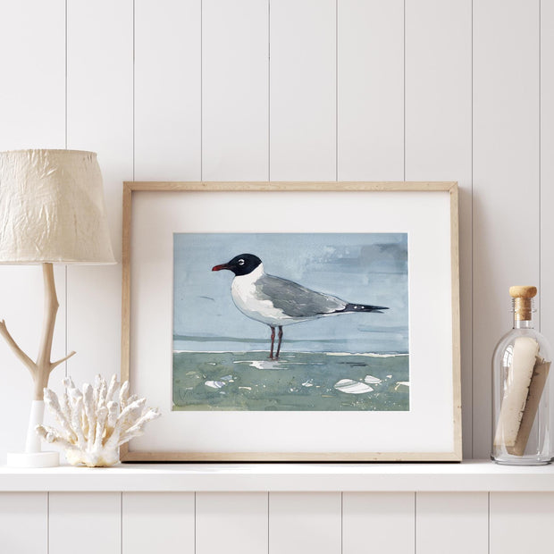 Laughing Gull Beach Print