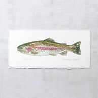 Original Watercolor Rainbow Trout Fish Painting