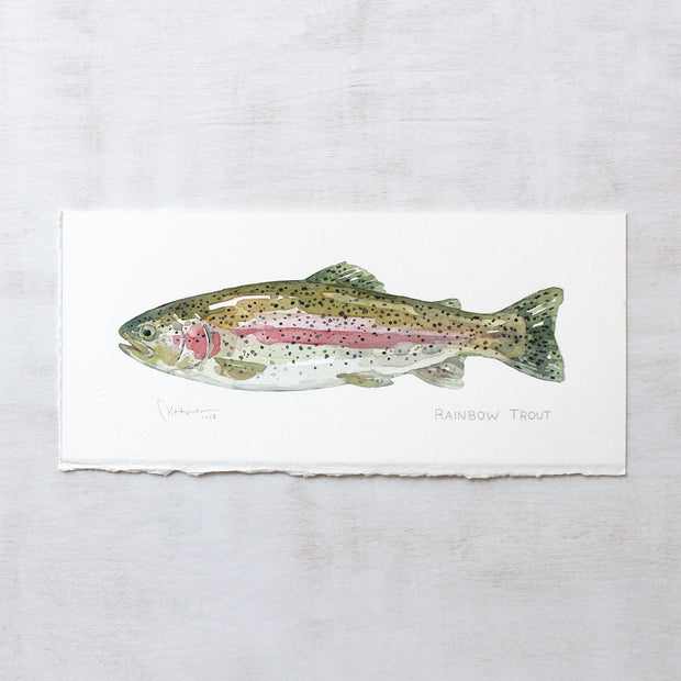 Original Watercolor Rainbow Trout Fish Painting