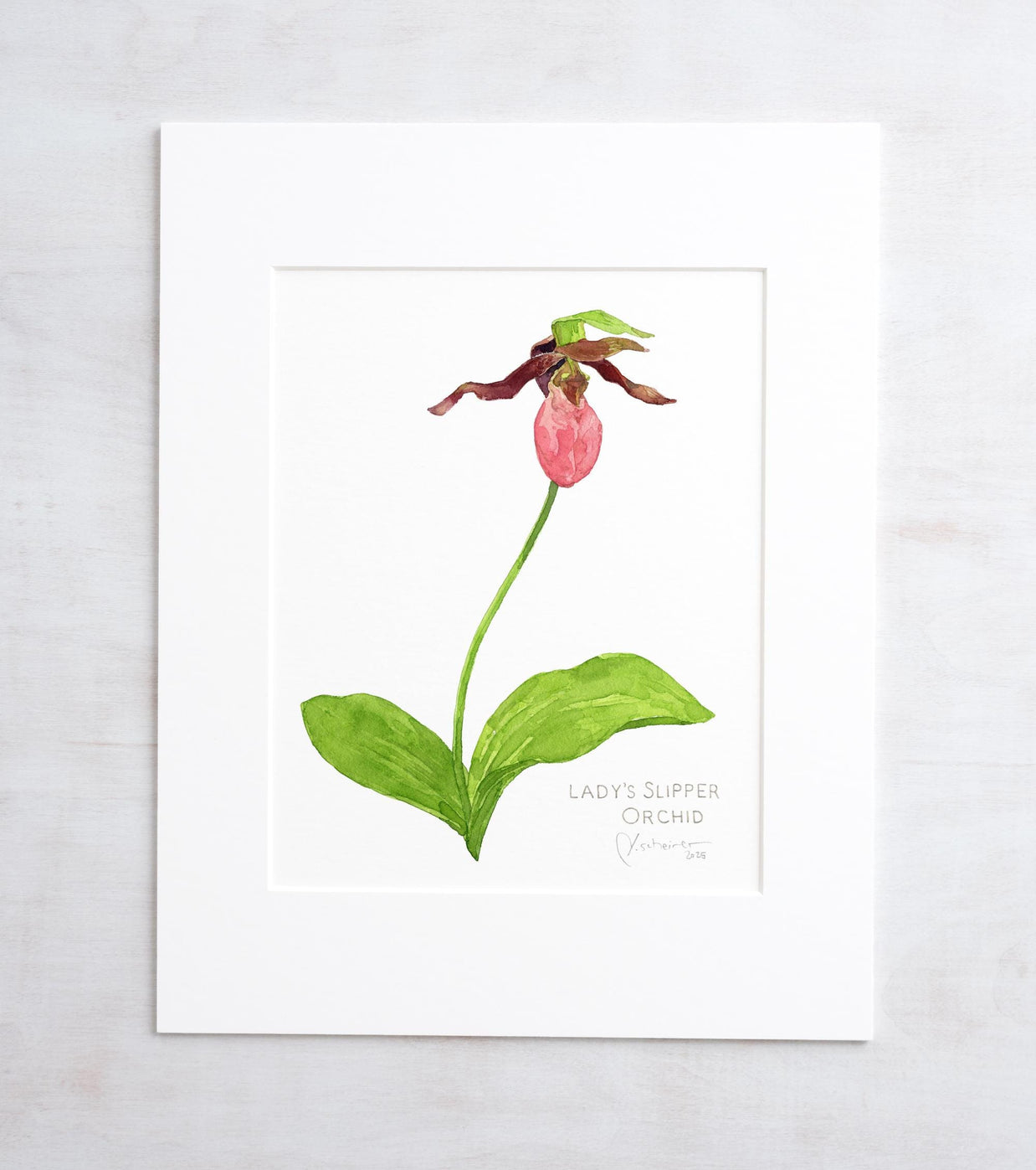 Original Watercolor Lady Slipper Orchid Painting