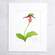 Original Watercolor Lady Slipper Orchid Painting