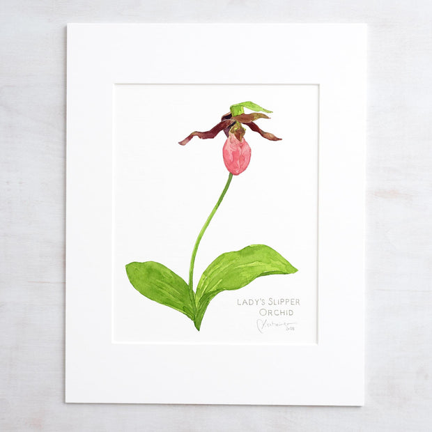 Original Watercolor Lady Slipper Orchid Painting