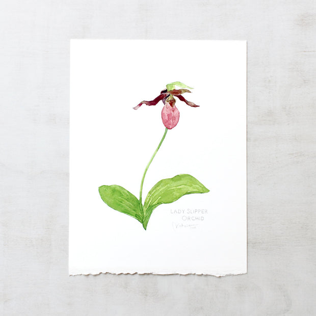 Original Watercolor Lady Slipper Orchid Painting