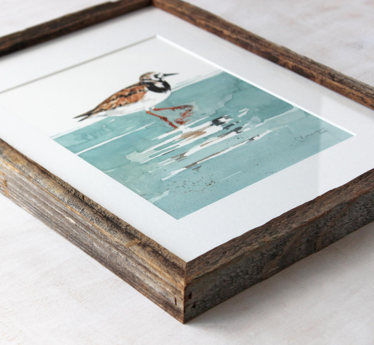 Framed Original Watercolor Shorebird Ruddy Turnstone Painting