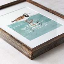 Framed Original Watercolor Shorebird Ruddy Turnstone Painting