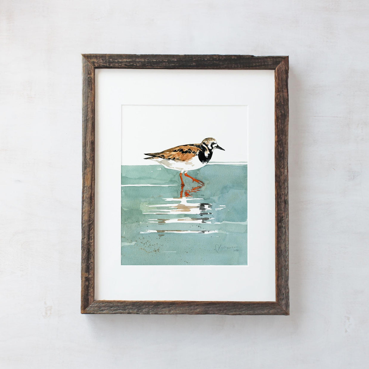 Framed Original Watercolor Shorebird Ruddy Turnstone Painting