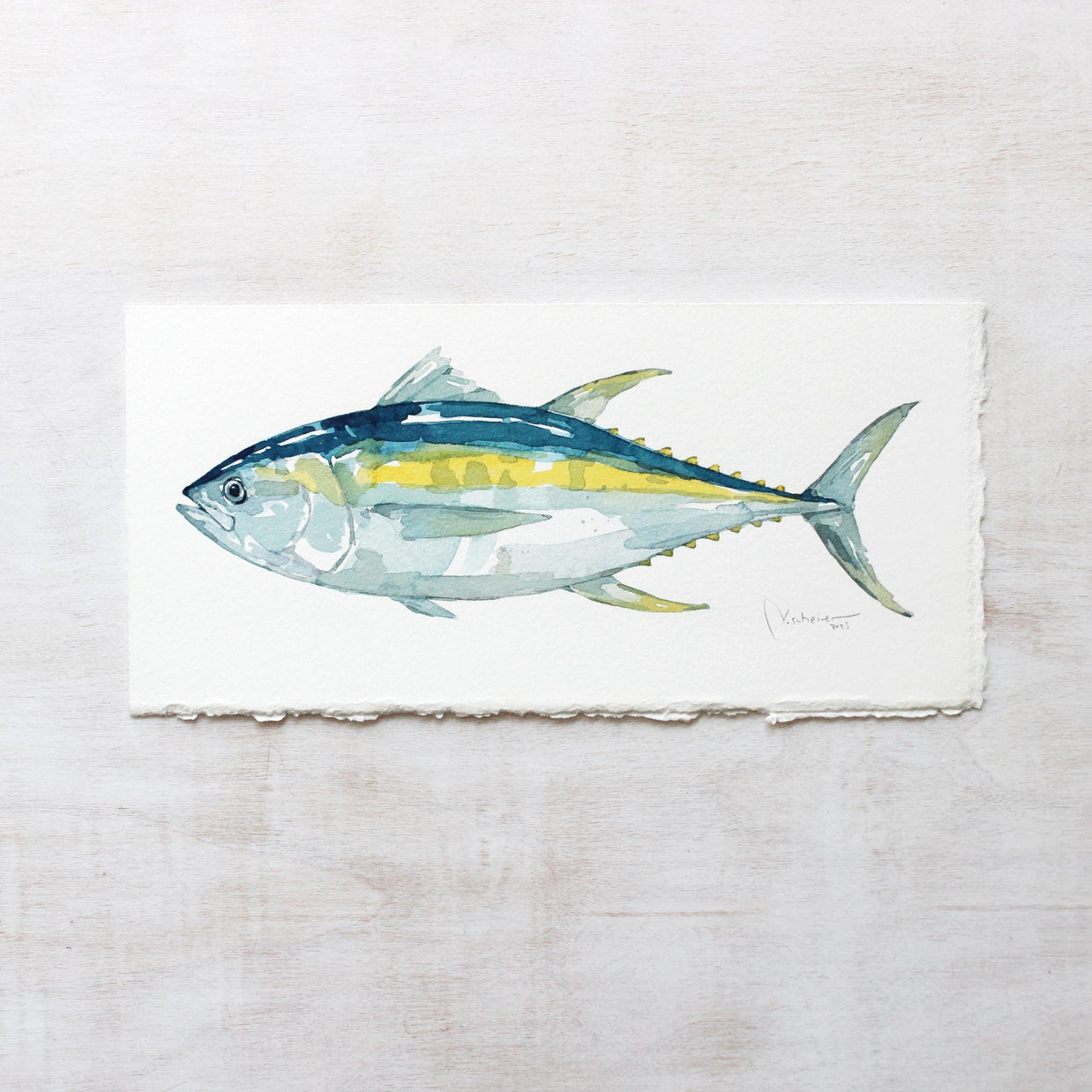 Original Yellow-fin Tuna Fish Watercolor Painting
