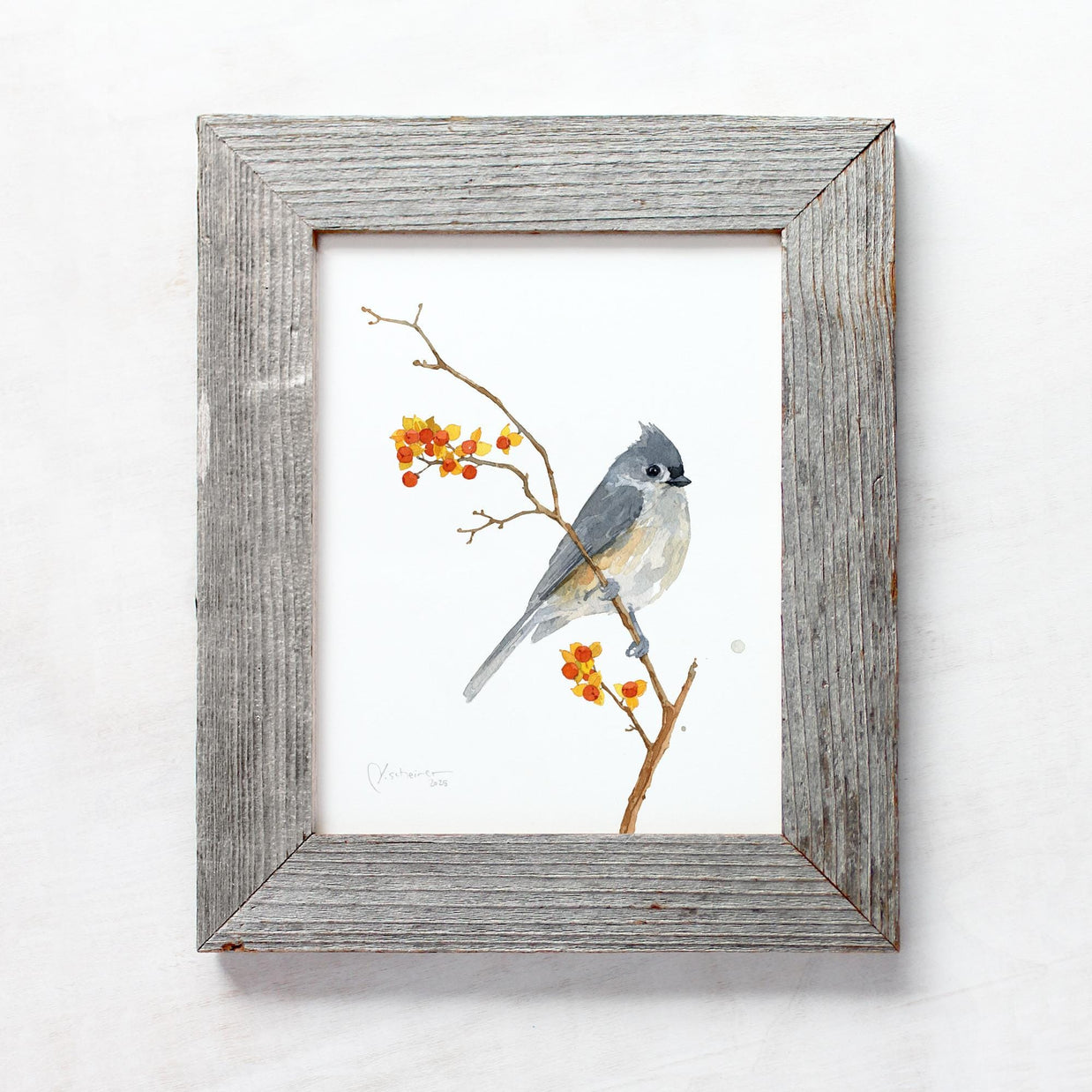 Tufted Titmouse on Bittersweet Print
