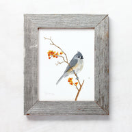 Tufted Titmouse on Bittersweet Print