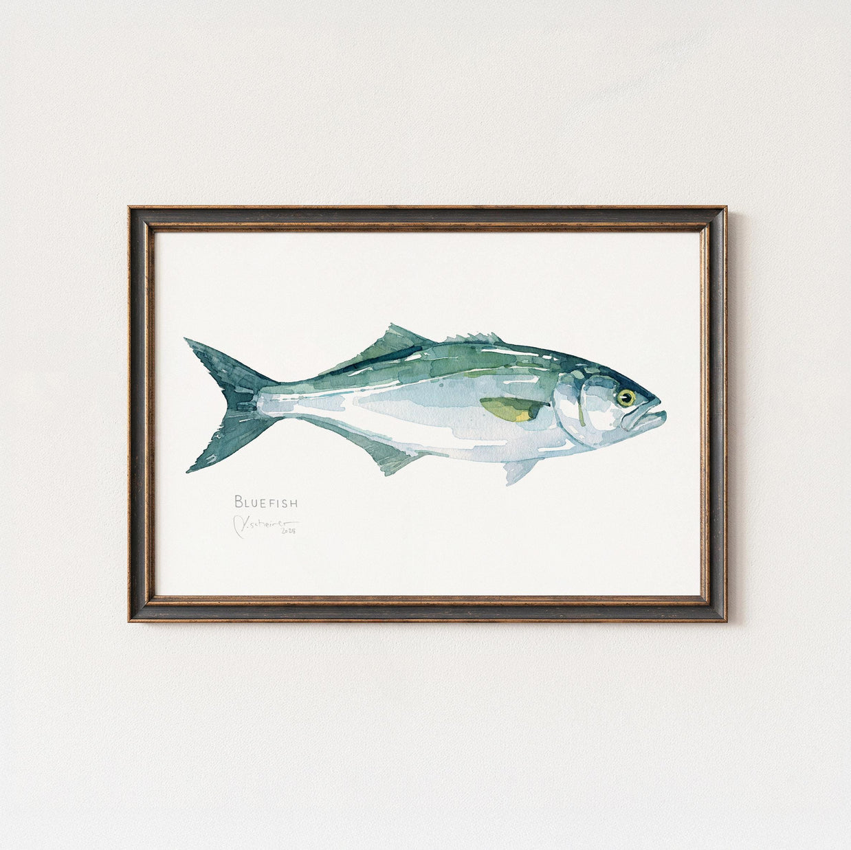 Bluefish Print