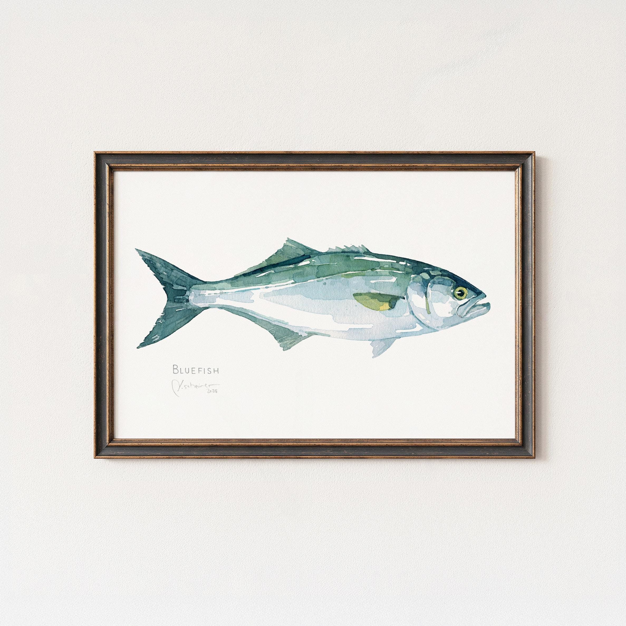 Bluefish Print
