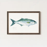 Bluefish Print