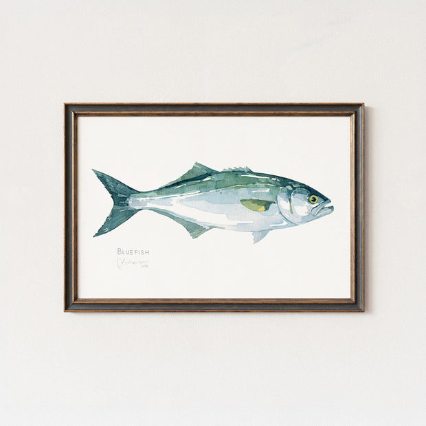 Bluefish Print