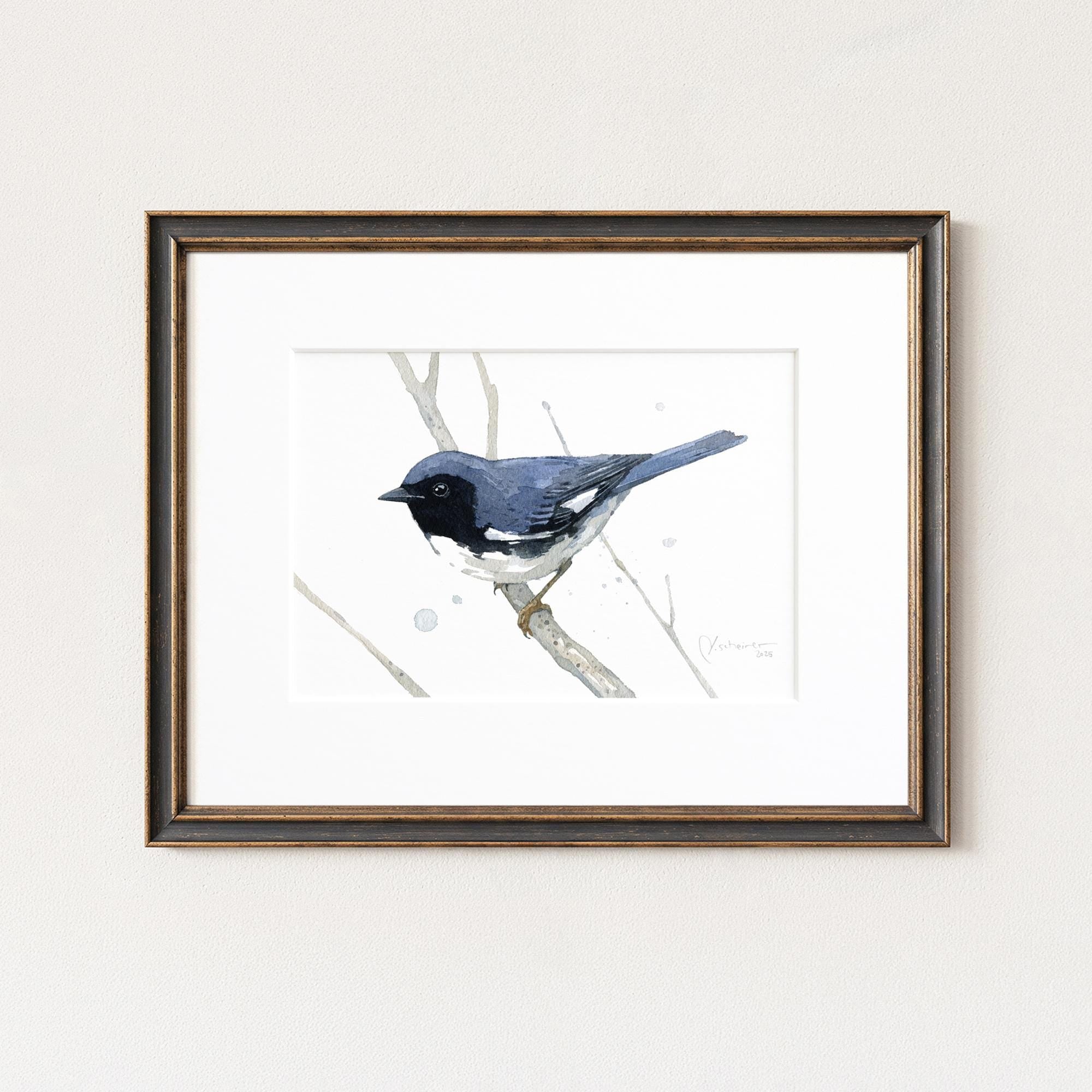 Black Throated Blue Warbler Print