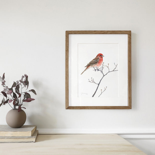 House Finch on Dogwood Branch Print