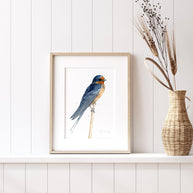 Barn Swallow Print
