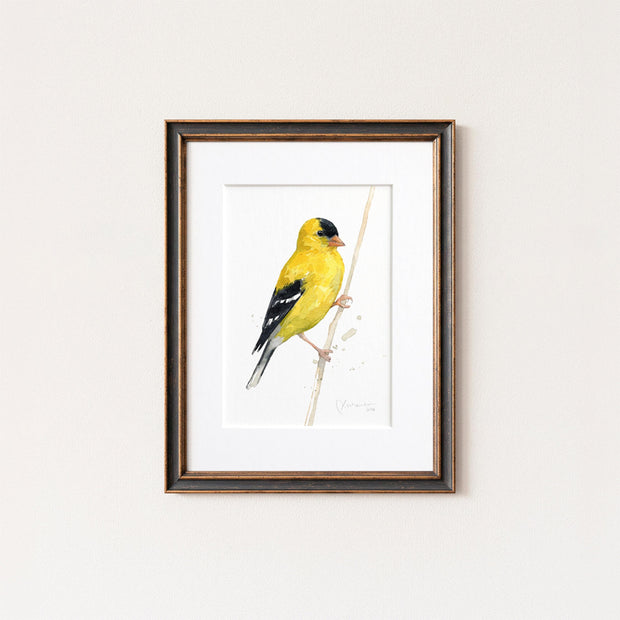 Goldfinch in Grass Print