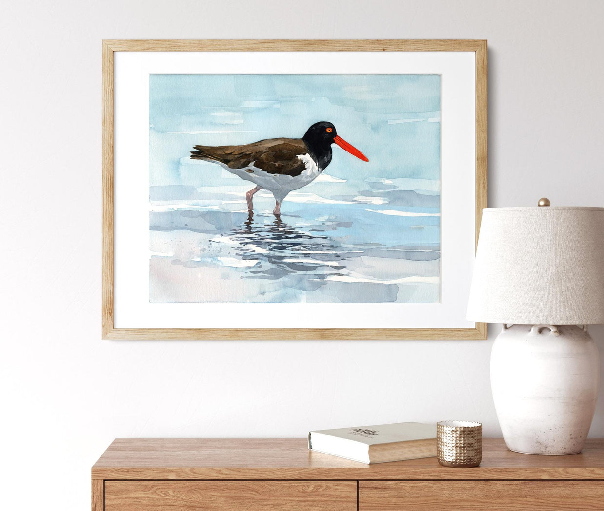 American Oystercatcher Print