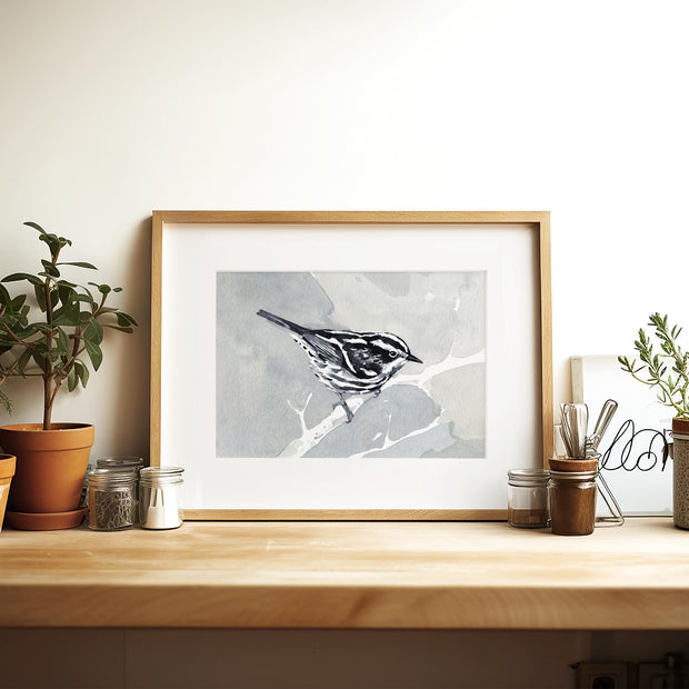 Black and White Warbler Print