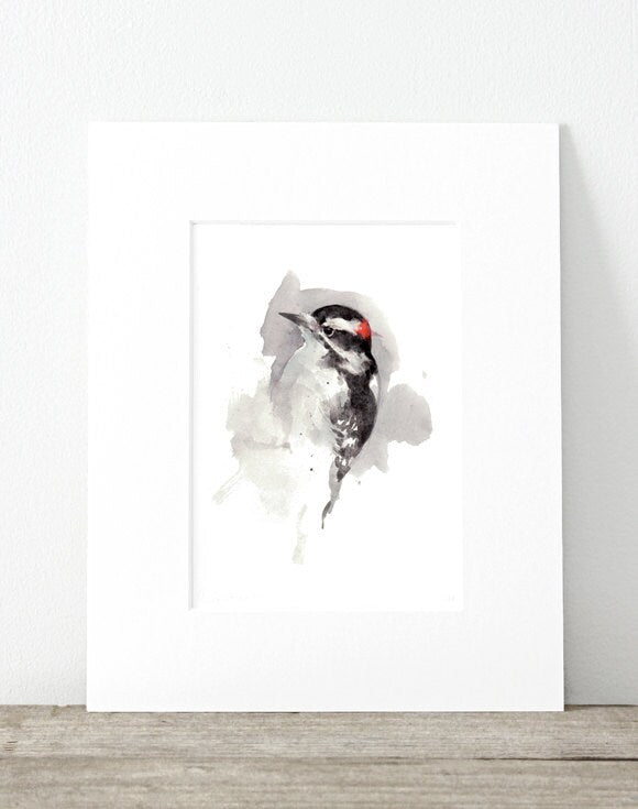 Downy Woodpecker Print