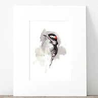 Downy Woodpecker Print