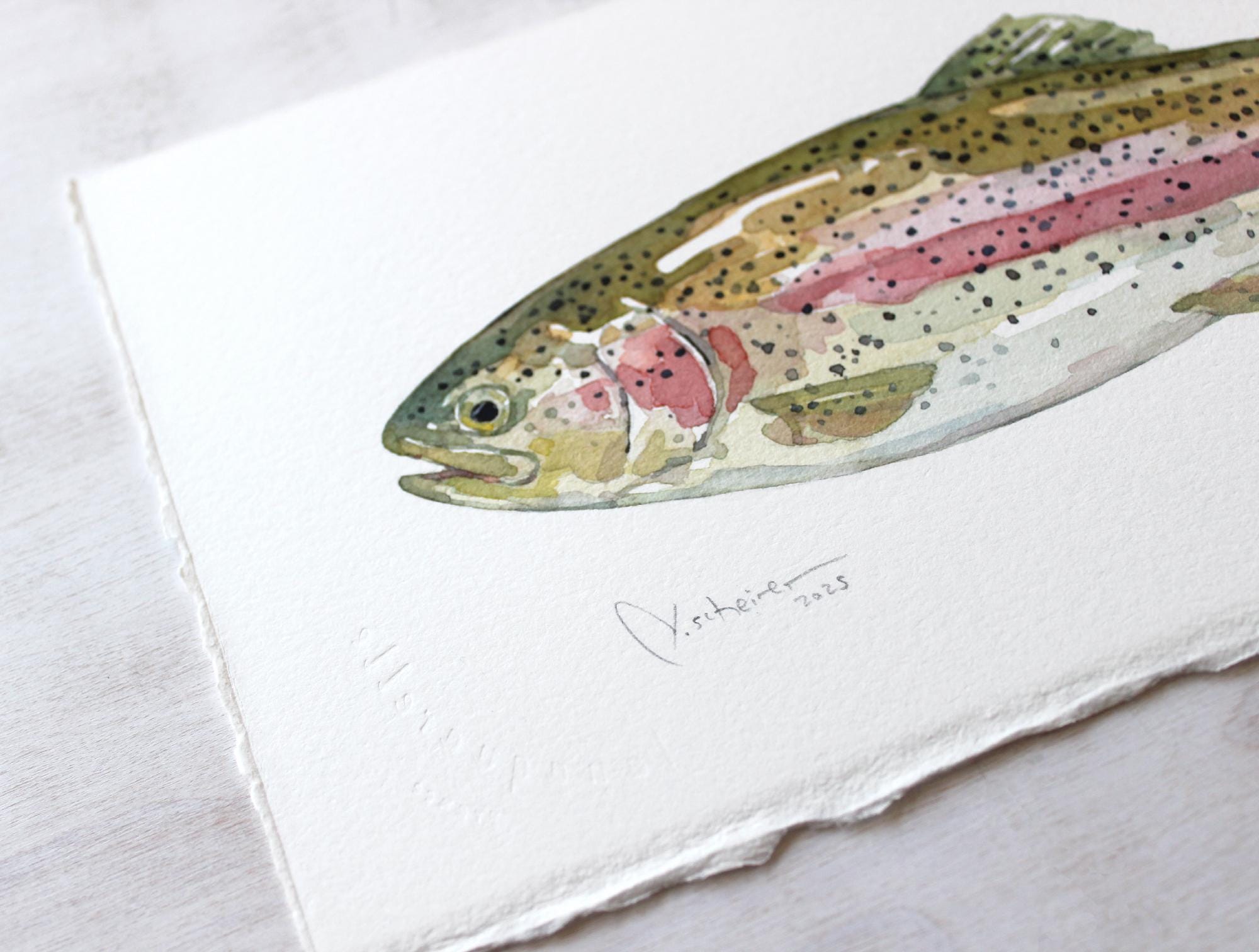 Original Watercolor Rainbow Trout Fish Painting