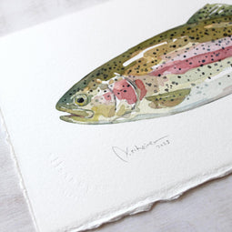 Original Watercolor Rainbow Trout Fish Painting