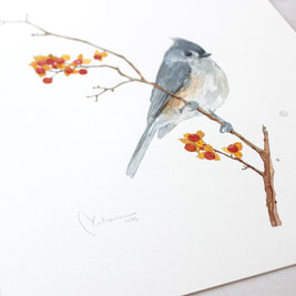 Original Tufted Titmouse on Bittersweet Watercolor Painting