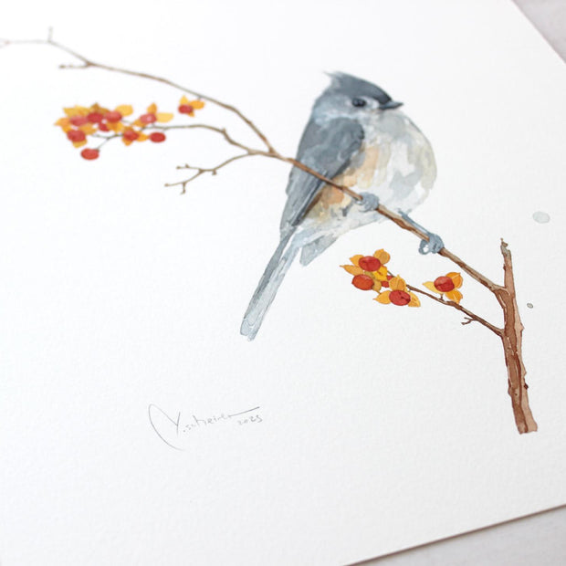 Original Tufted Titmouse on Bittersweet Watercolor Painting