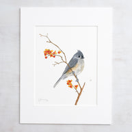 Original Tufted Titmouse on Bittersweet Watercolor Painting