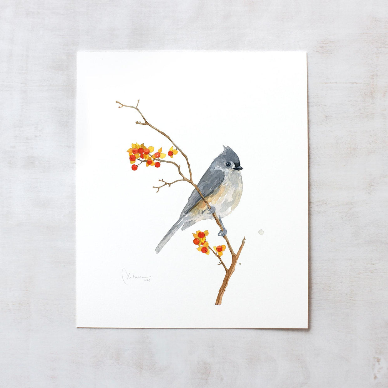 Original Tufted Titmouse on Bittersweet Watercolor Painting