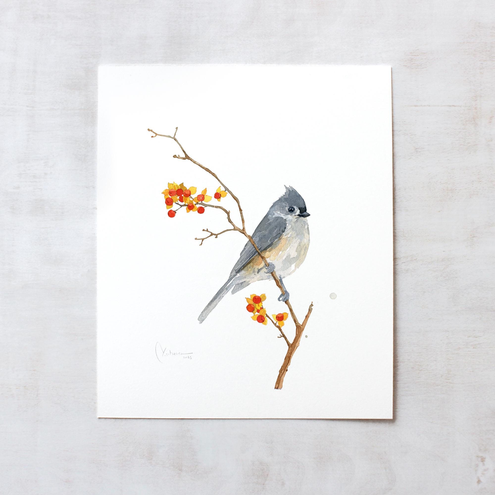 Original Tufted Titmouse on Bittersweet Watercolor Painting