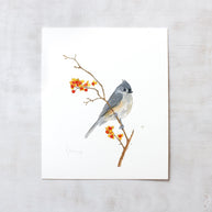 Original Tufted Titmouse on Bittersweet Watercolor Painting