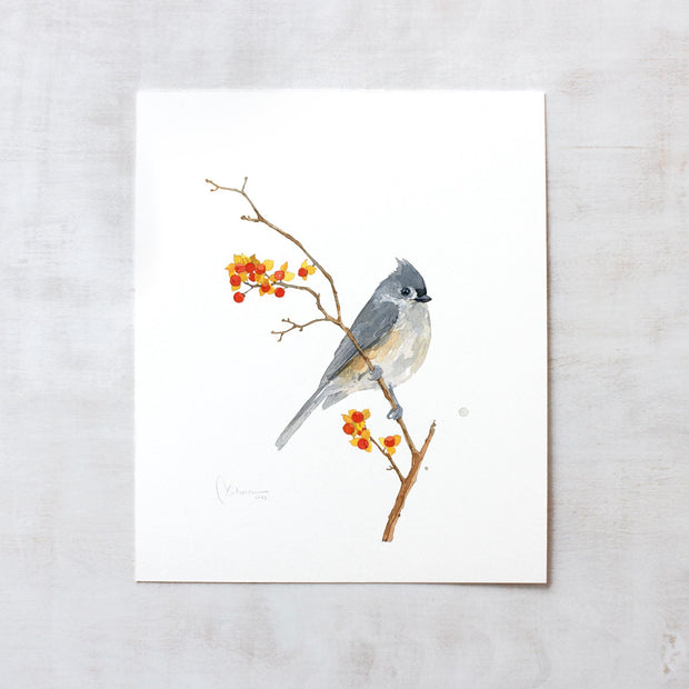Original Tufted Titmouse on Bittersweet Watercolor Painting