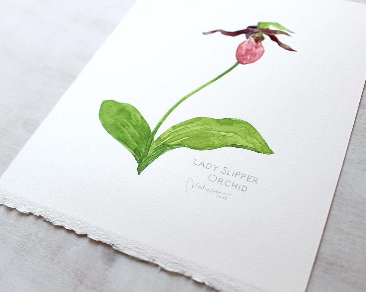 Original Watercolor Lady Slipper Orchid Painting