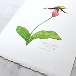 Original Watercolor Lady Slipper Orchid Painting