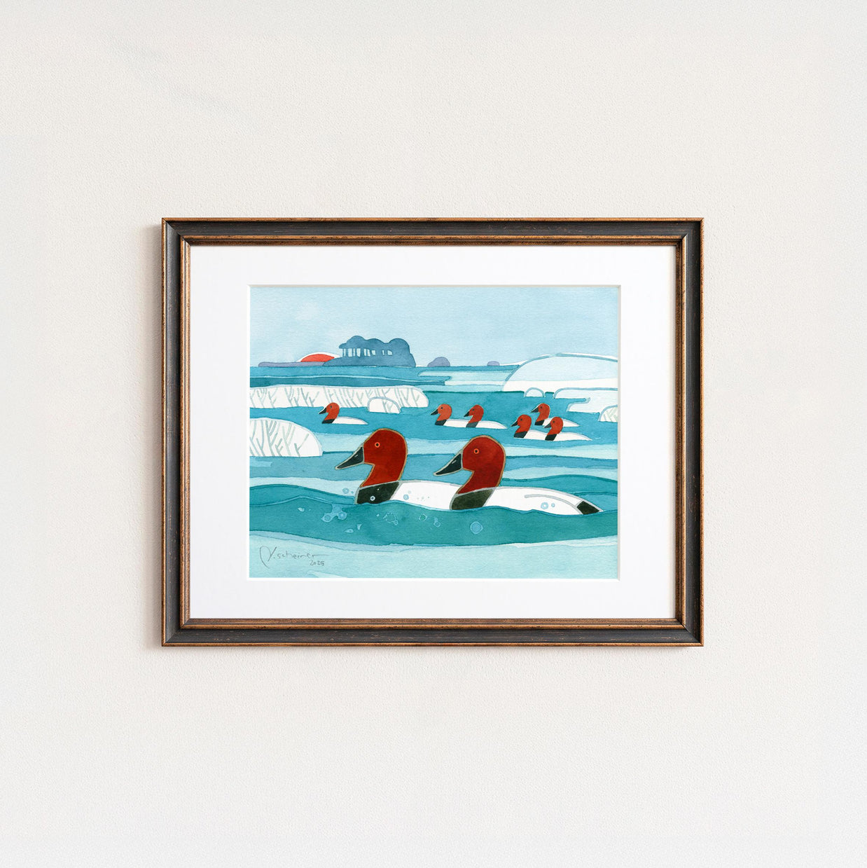 Canvasbacks Ducks in Winter Print