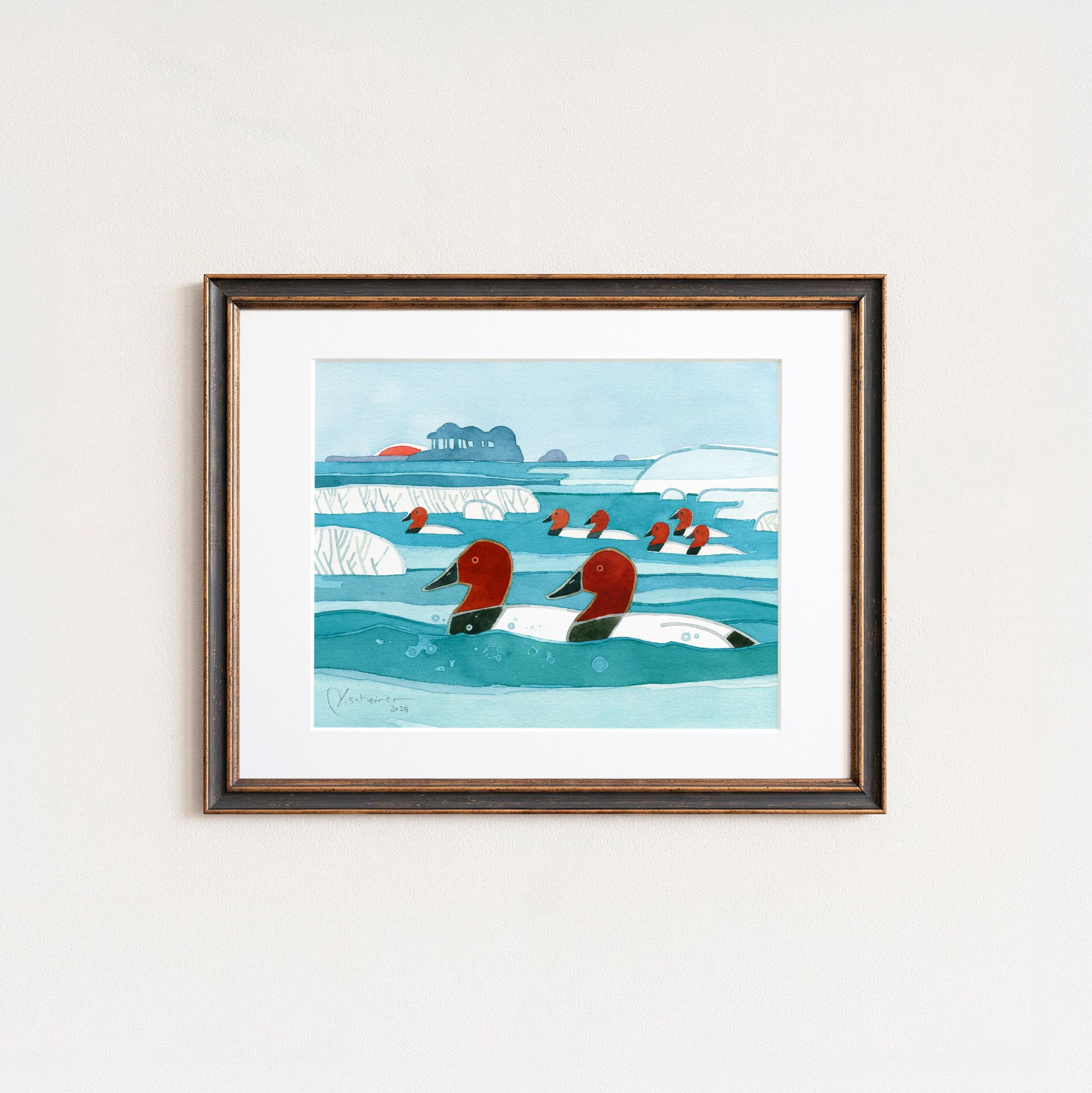 Canvasbacks Ducks in Winter Print