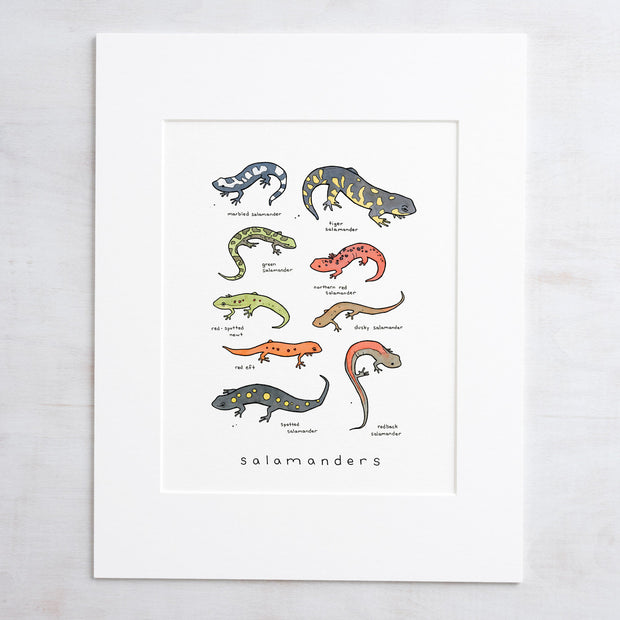 Salamanders Chart Print
