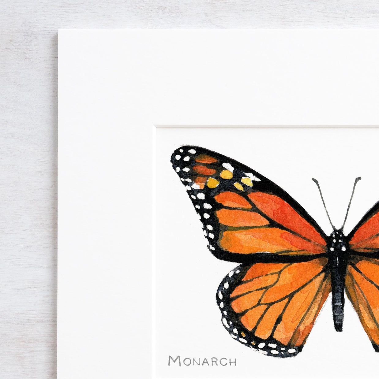 Monarch Butterfly Watercolor Art Print