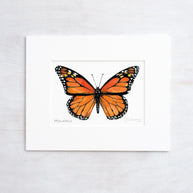 Monarch Butterfly Watercolor Art Print