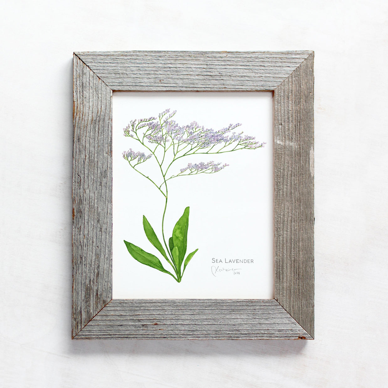 Sea Lavender Botanical Print