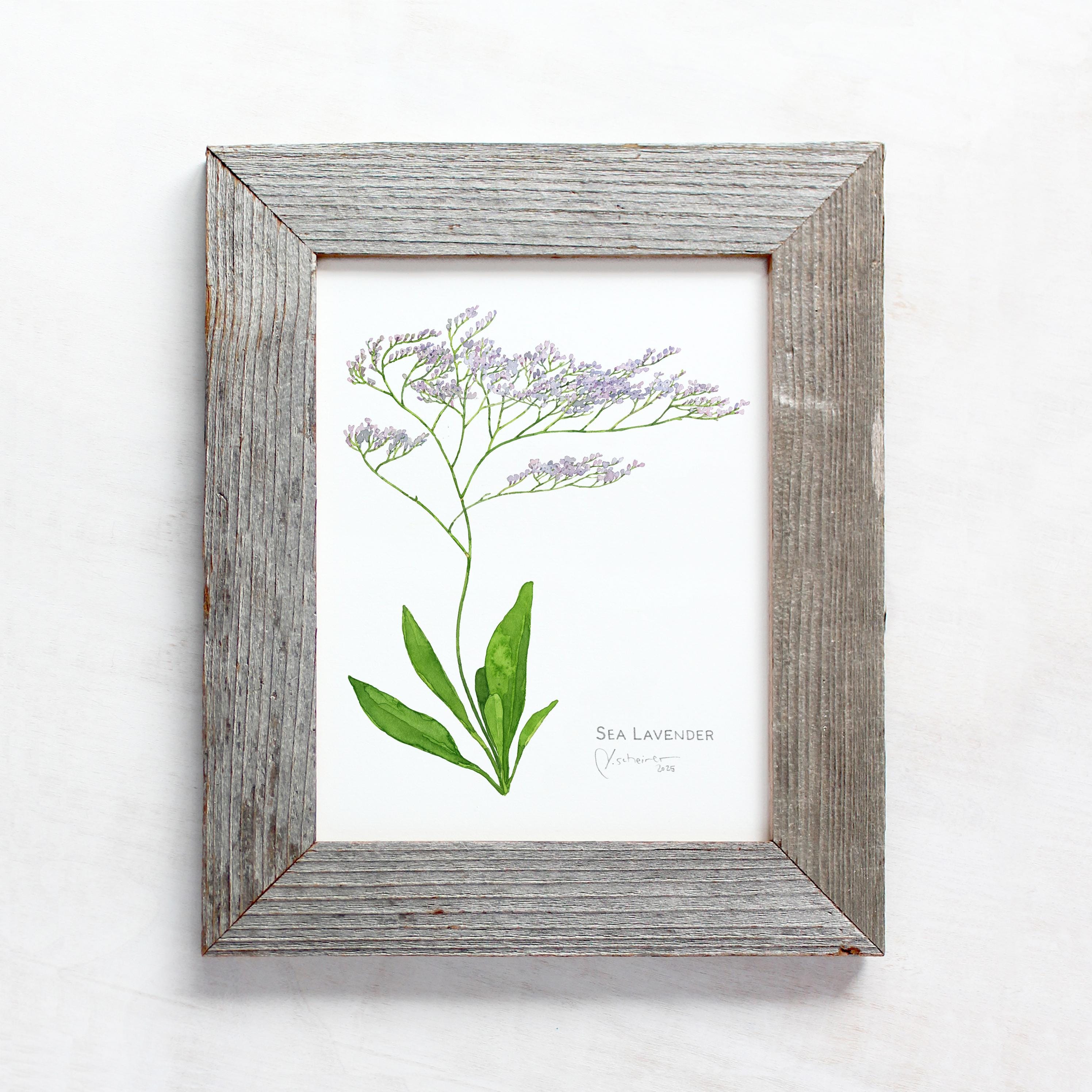 Sea Lavender Botanical Print
