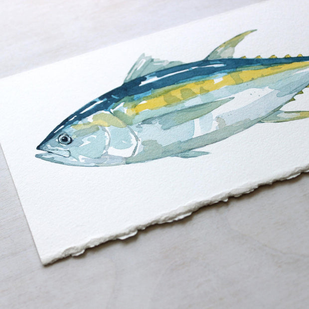 Original Yellow-fin Tuna Fish Watercolor Painting