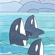 Orcas Spyhopping Print