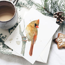 Cardinals Card Set
