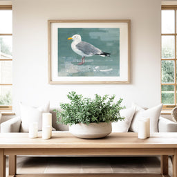 Herring Gull Print