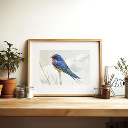 Barn Swallow Print Rustic Bird Art Watercolor Painting