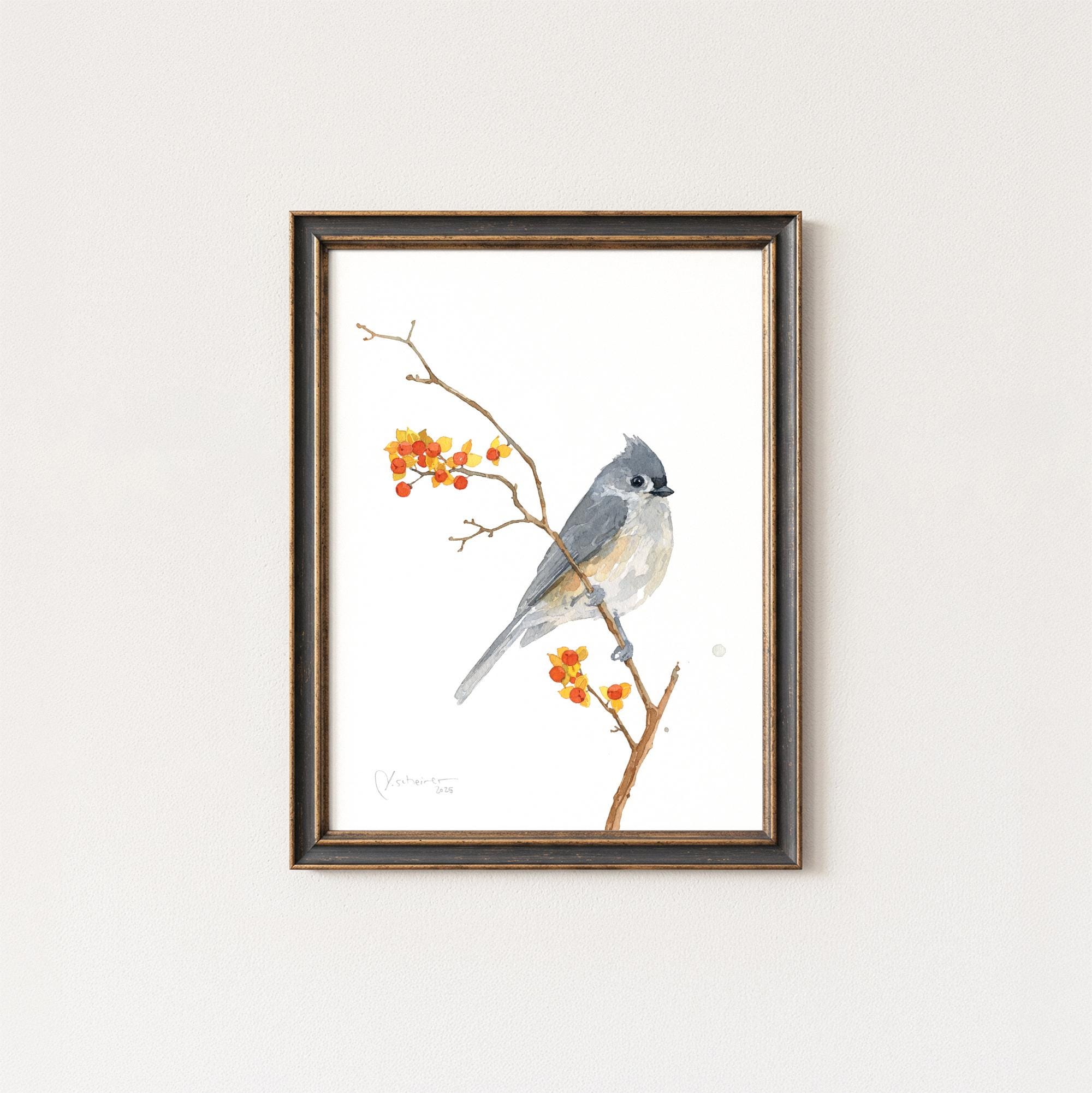Tufted Titmouse on Bittersweet Print