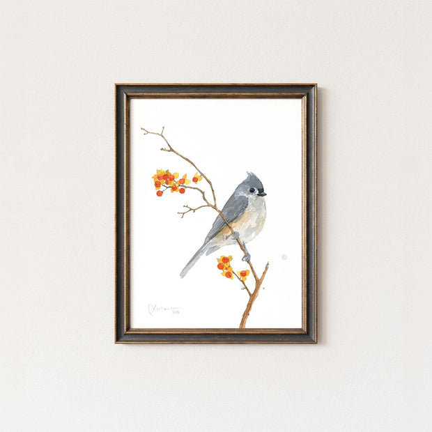 Tufted Titmouse on Bittersweet Print
